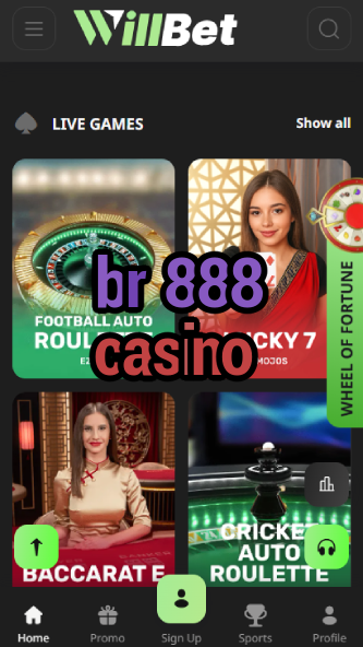 BR 888 Casino - Premium Brazilian Casino-www302.ydblkf.net